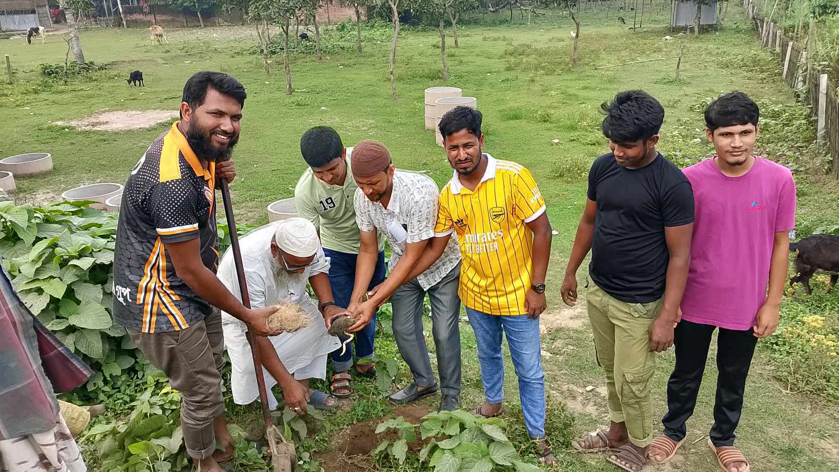 রাণীশংকৈলে বজ্রপাত ও পরিবেশের ভারসাম্য রক্ষায় রাস্তায় রাস্তায় তাল বীজ রোপণ